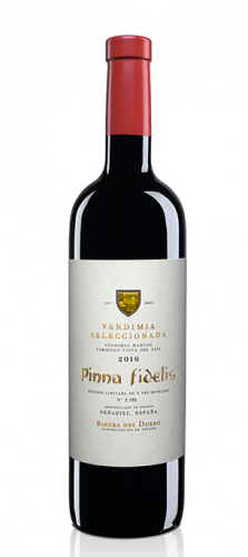 Vino Pinna Fidelis Vendimia Seleccionada