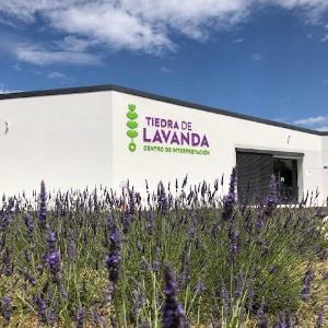 Instalaciones de Tiedra de Lavanda