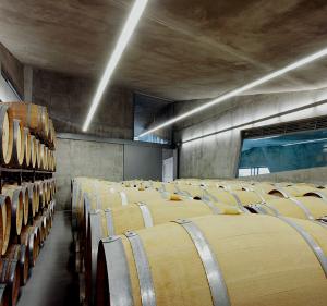 bodega tr3smano bodegas